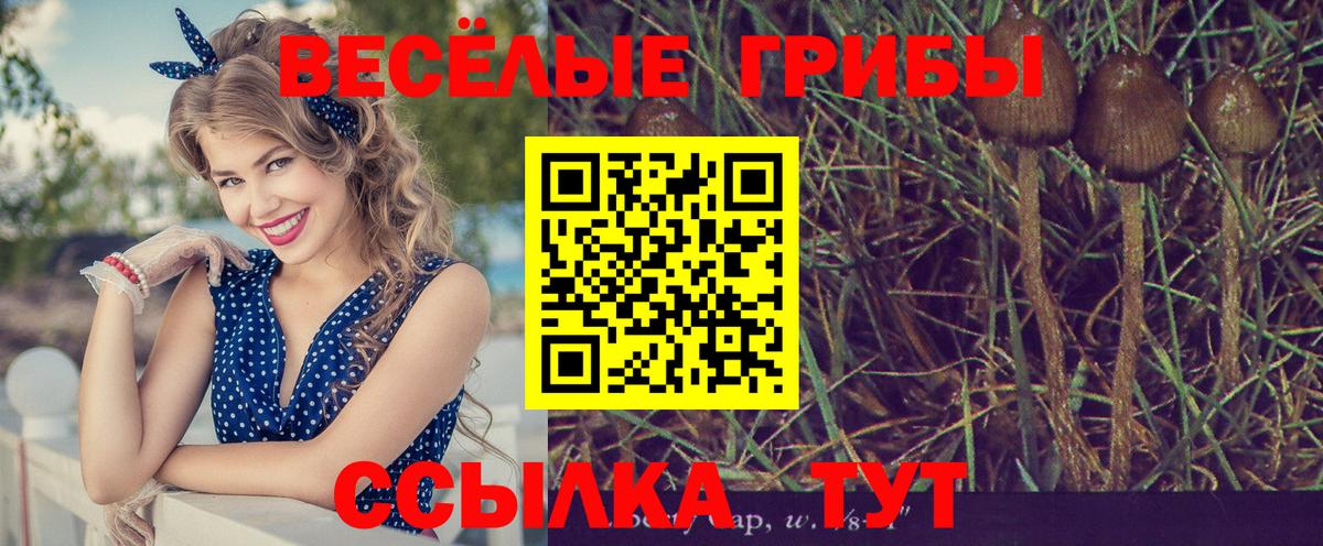 Псилоцибиновые грибы Cubensis Учалы