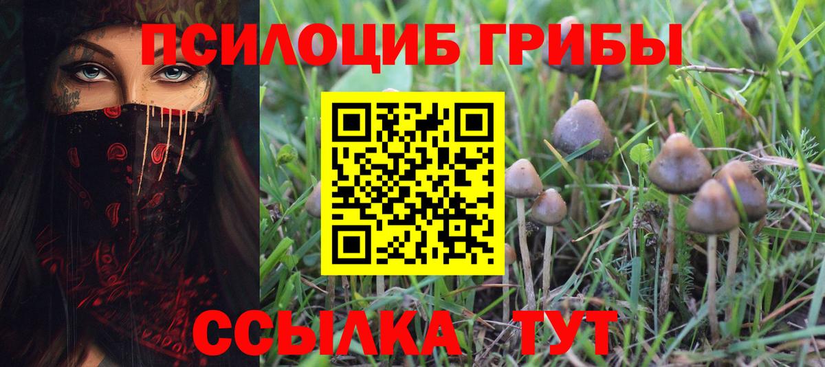 Учалы  наркошоп  Вход с VPN  Галлюциногенные грибы Psilocybe  Псилоцибиновые грибы GOLDEN TEACHER 
